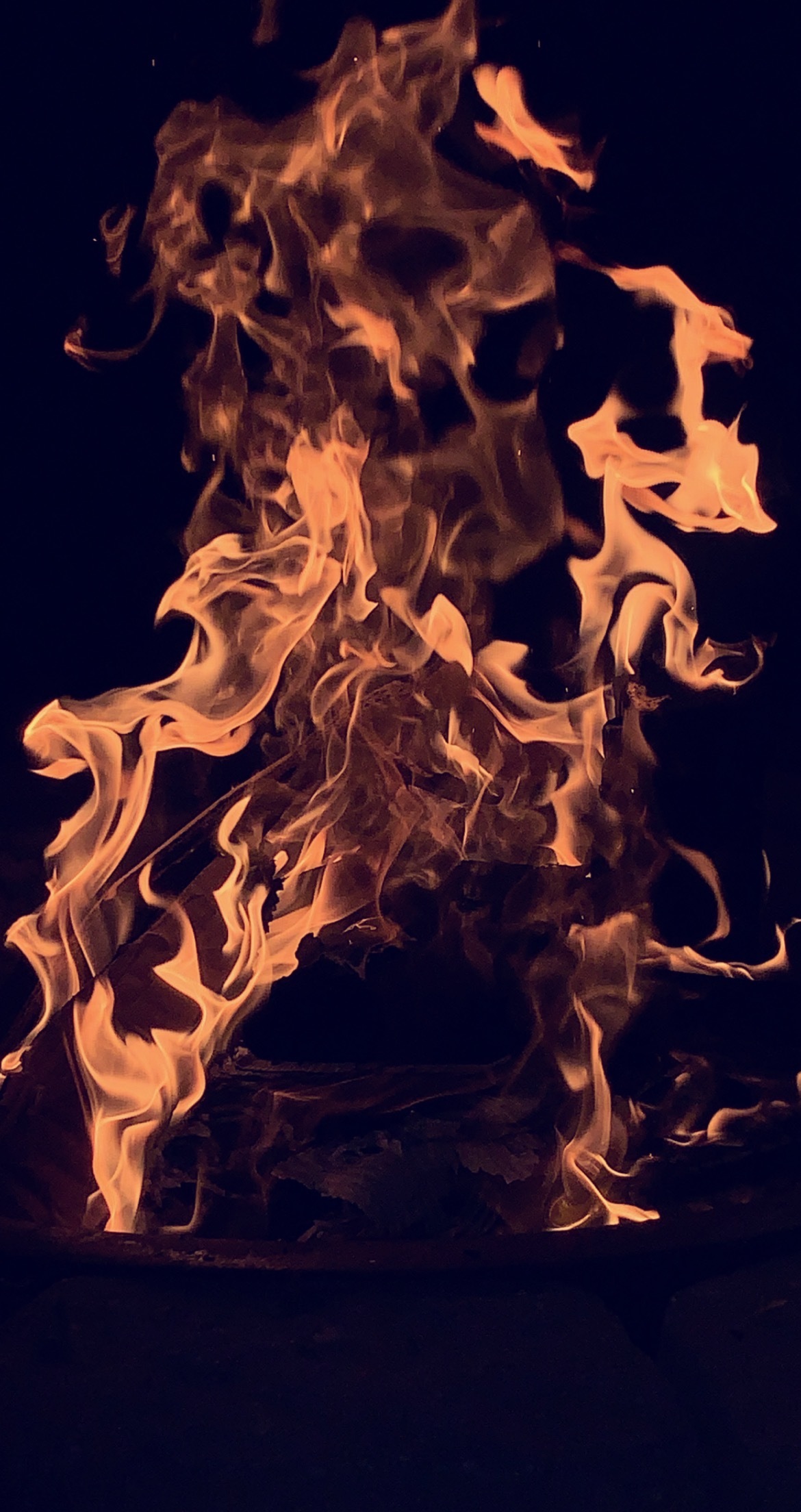 Lacey Kane banner image