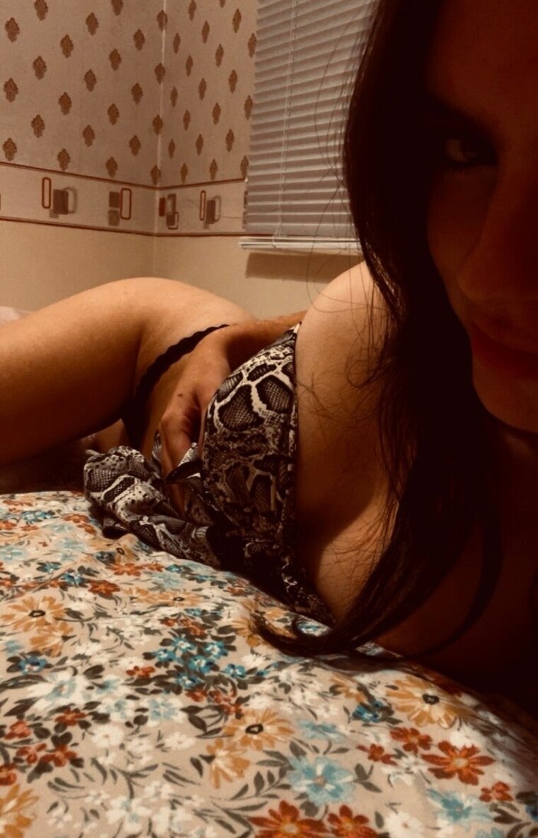 Lacey banner image