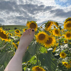 Lacey Toes avatar