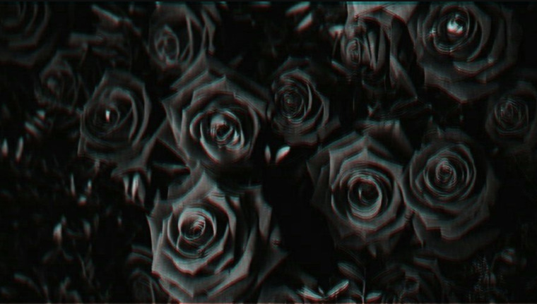 Lacey Rose cover image