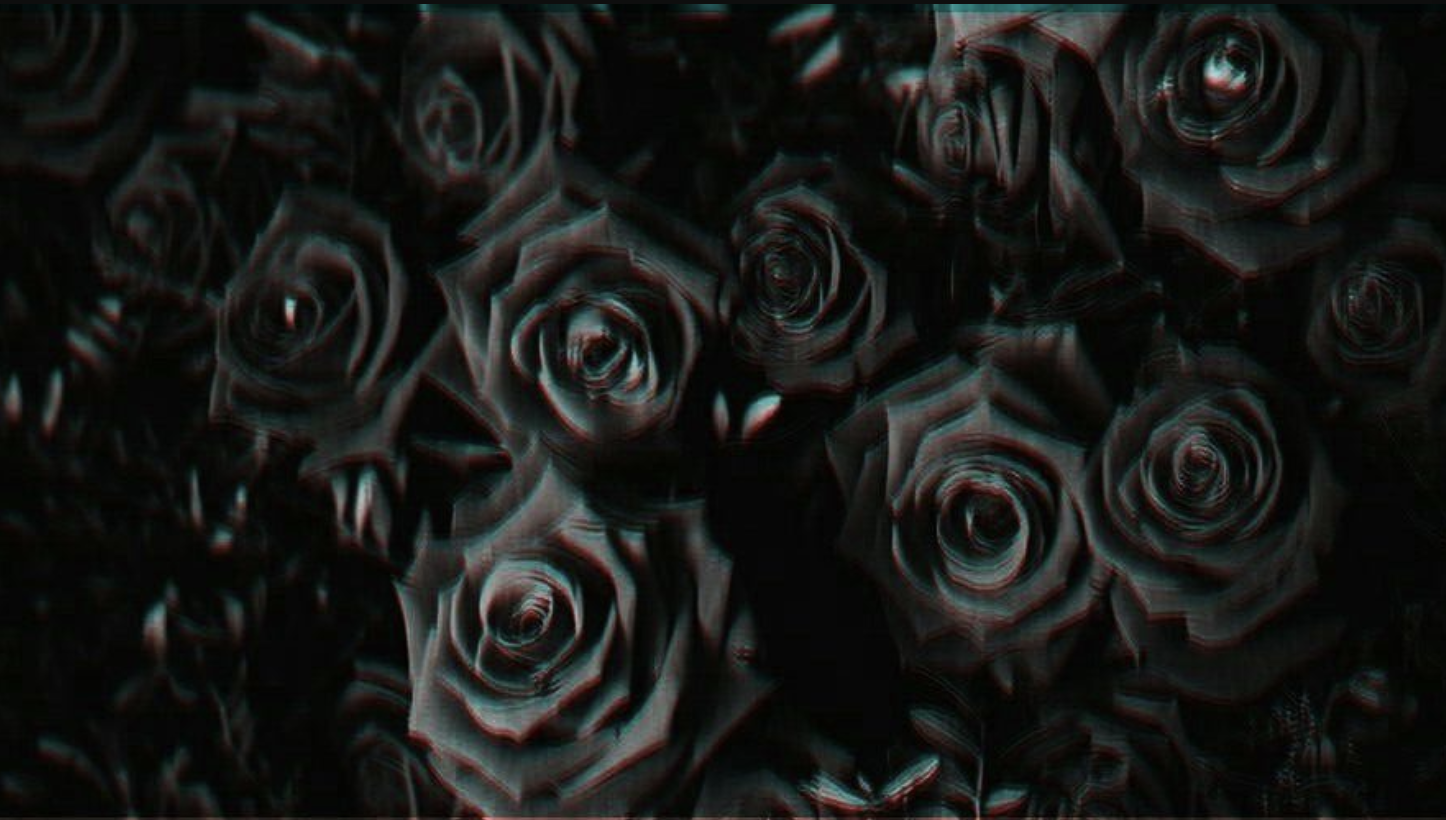Lacey Rose banner image