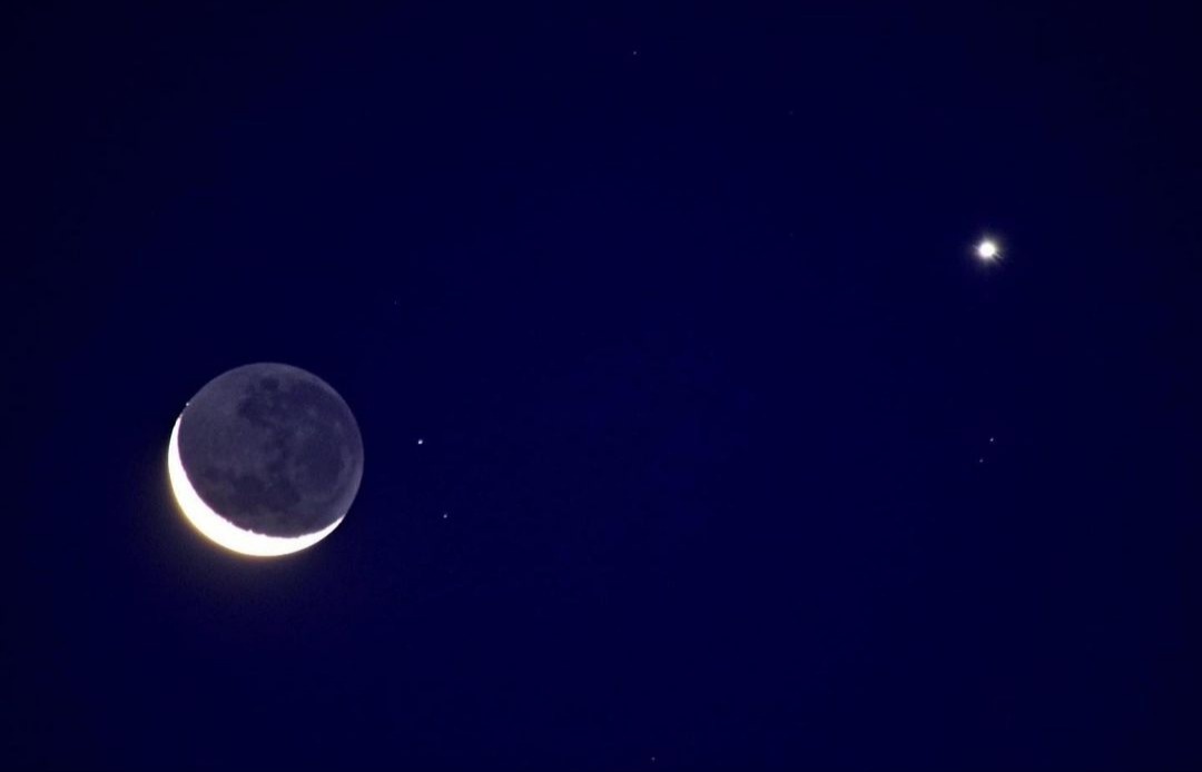 Renee LeBlanc banner image