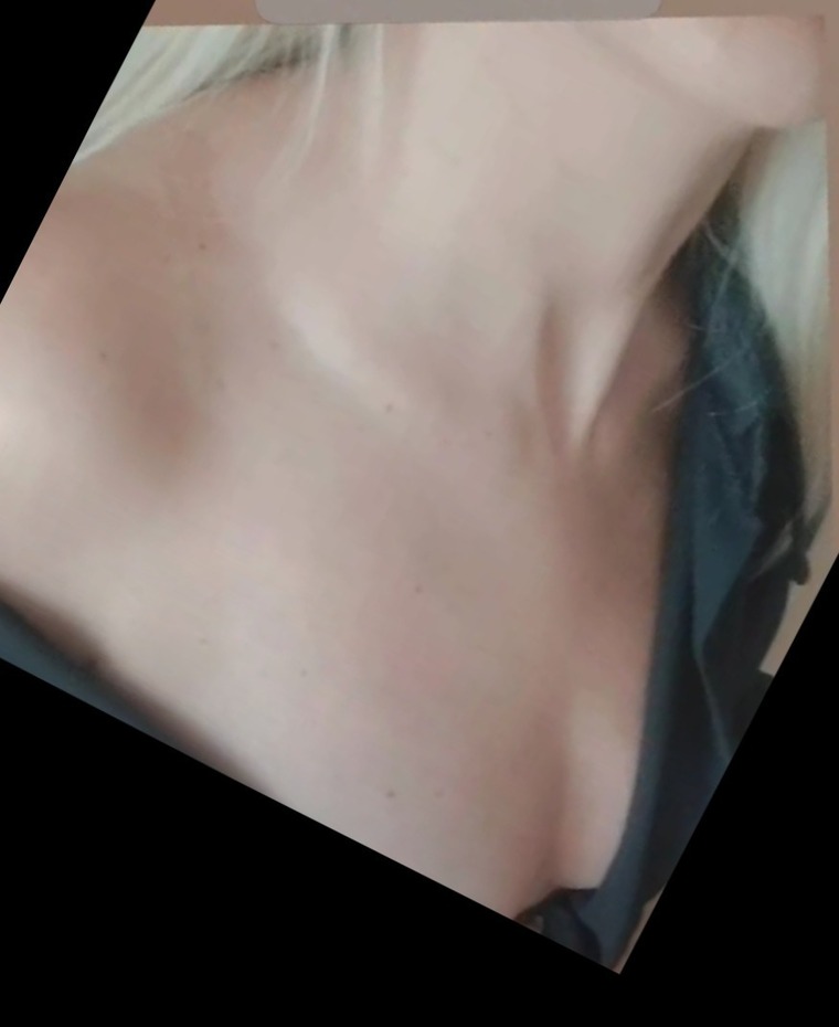 Lady_butterfly3 banner image
