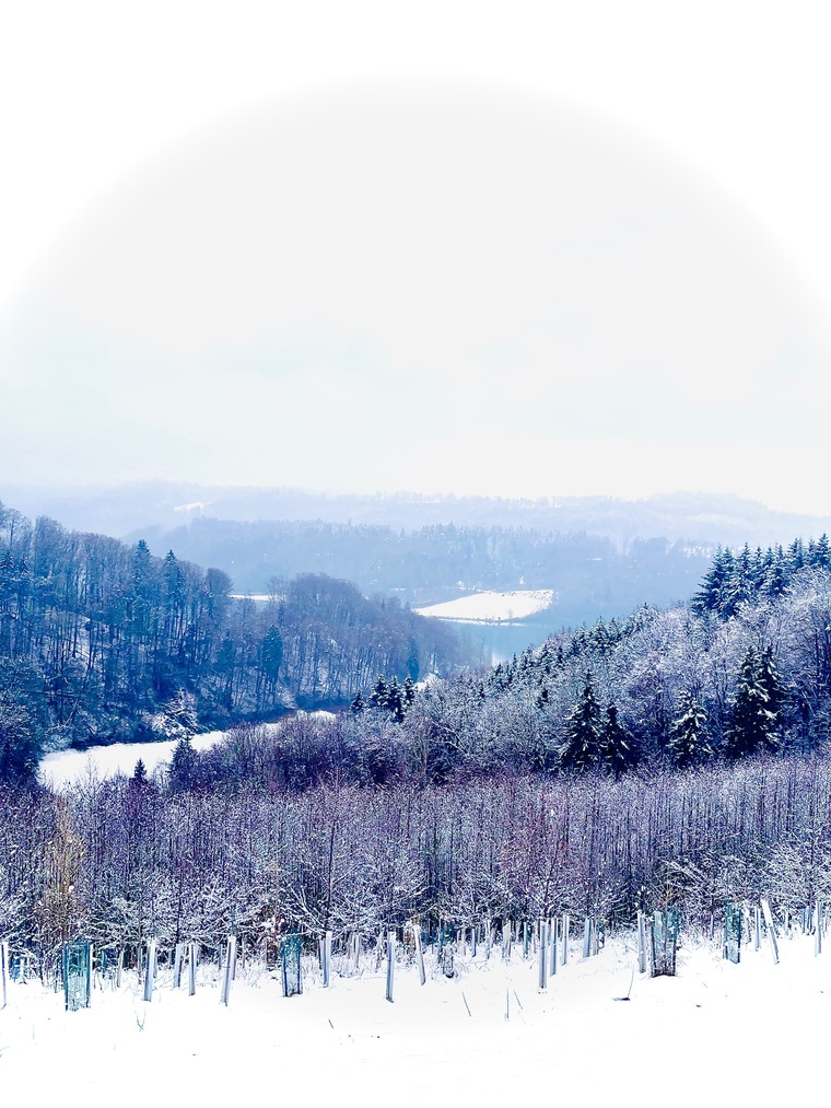Sunny cover image