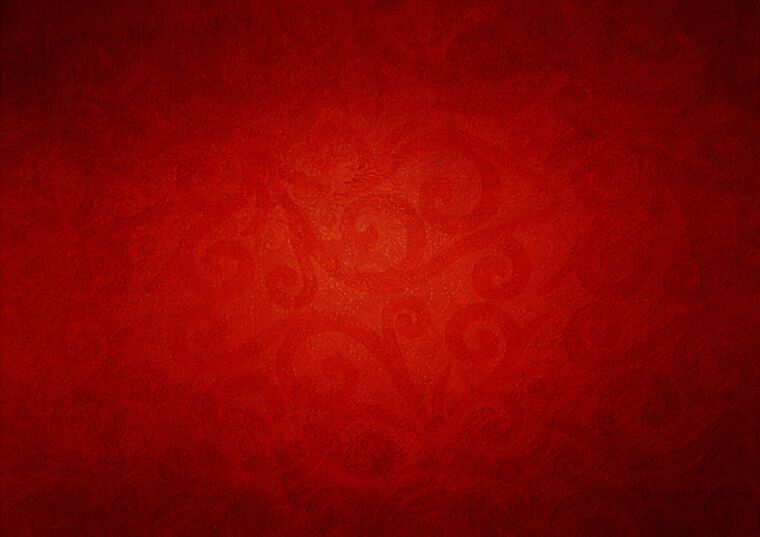 ladybug22 cover image