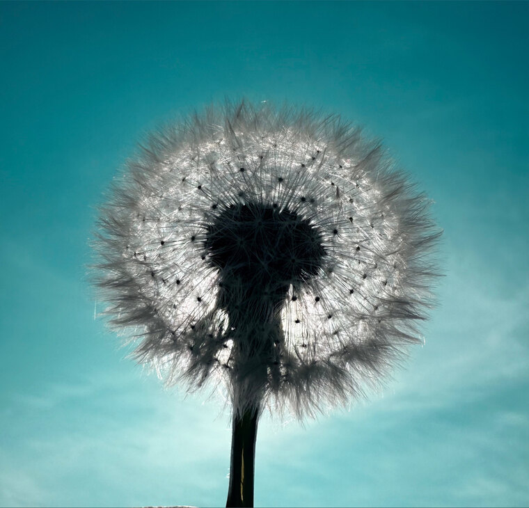 u193070751 cover image