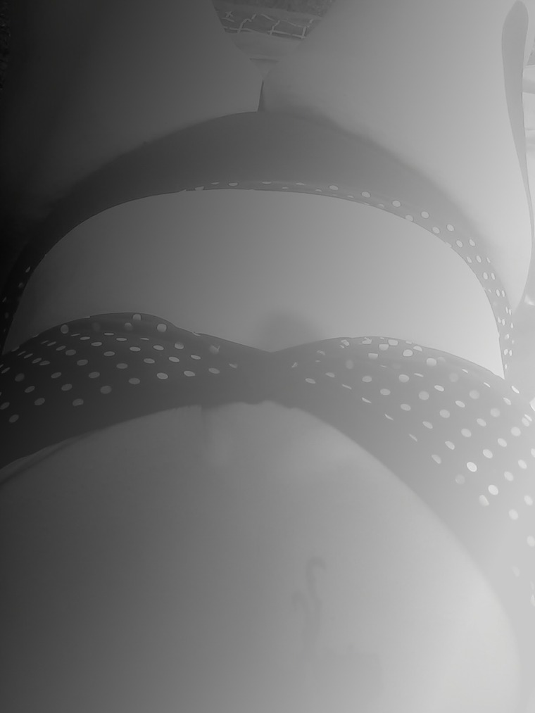 Lady Morticia cover image
