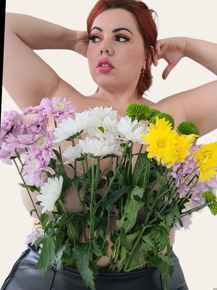 Lady Rabbit banner image
