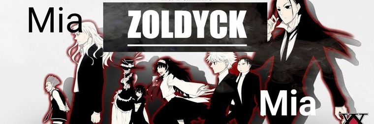 LadyStichita banner image