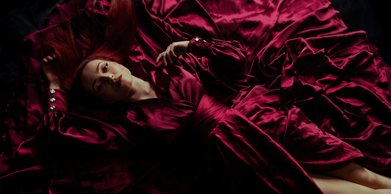Lady Vengeance cover image