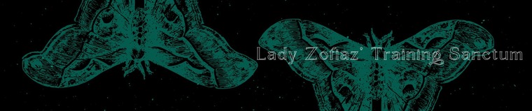 Lady Zofiaz cover image