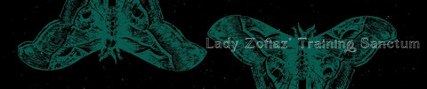 Lady Zofiaz cover image