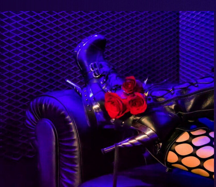 Mistress Fire Fox cover image