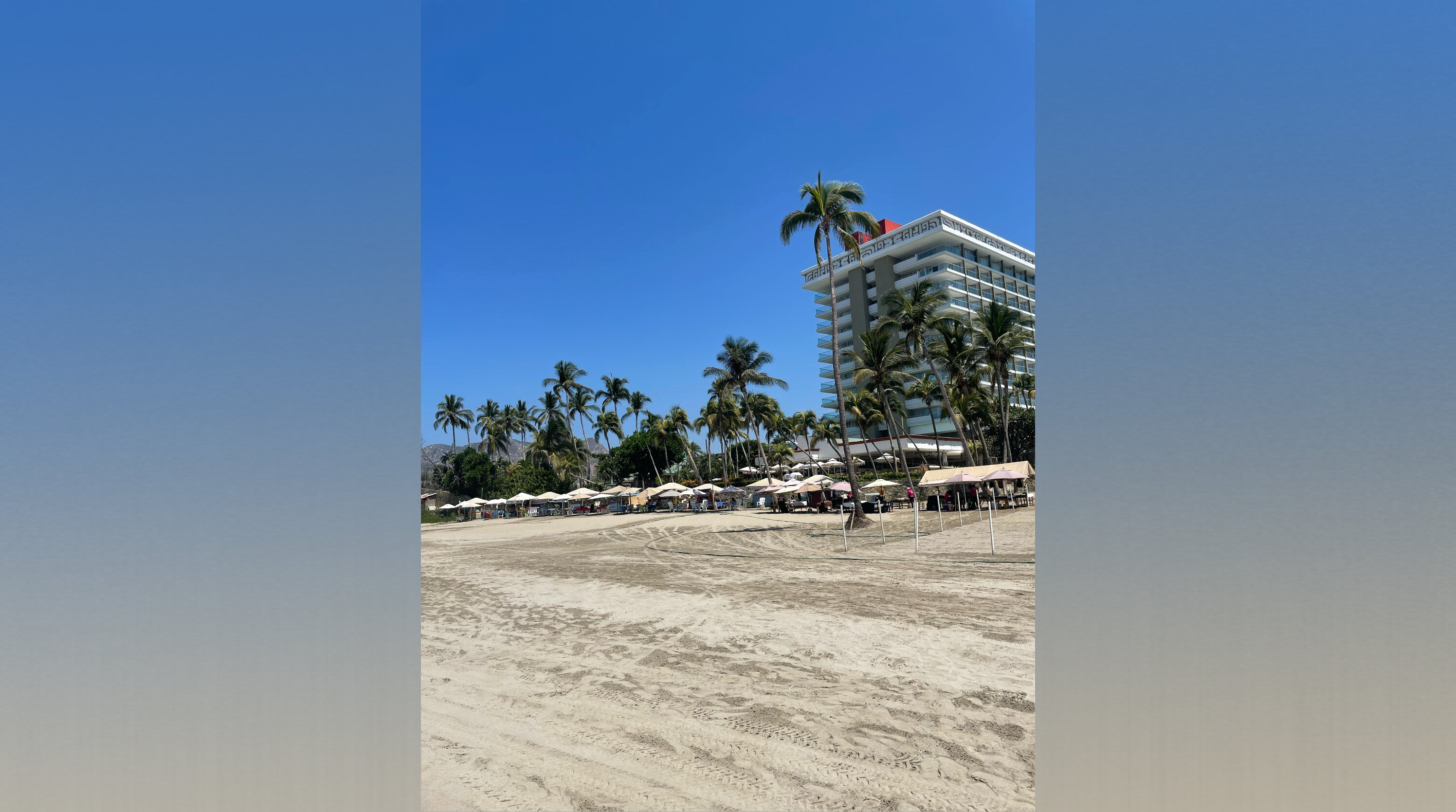 Mila Mila banner image