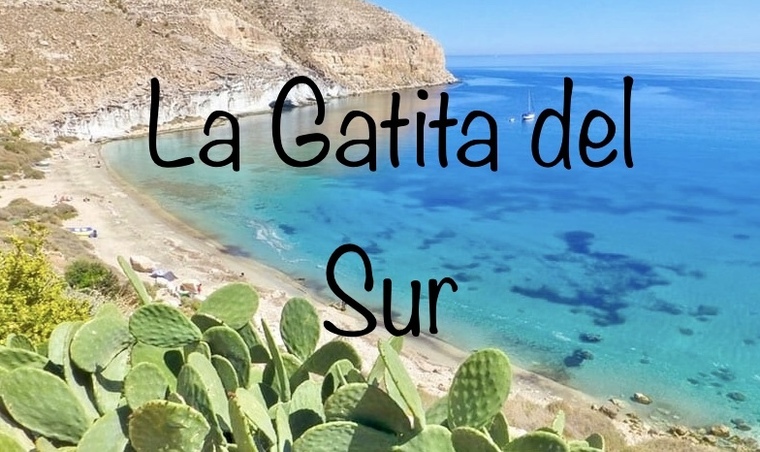 LaGatitadelSur1 cover image
