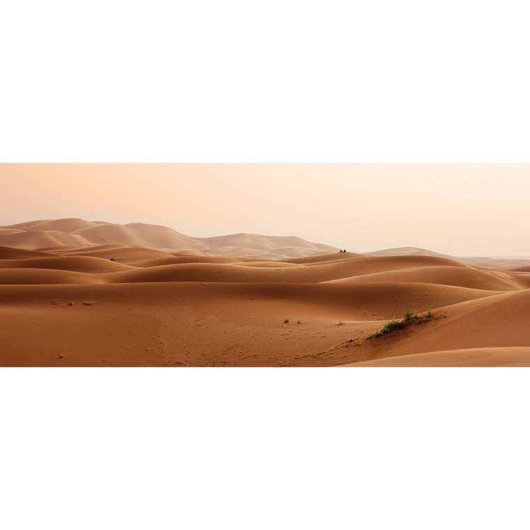 Lailani banner image