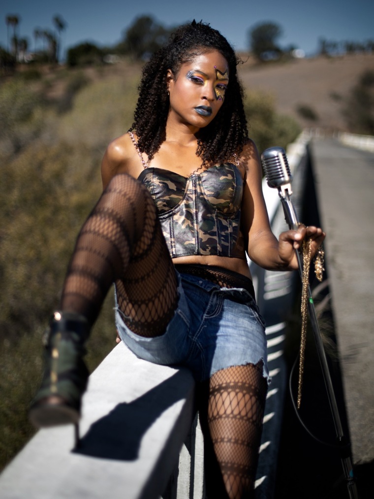 Laila Paige cover image
