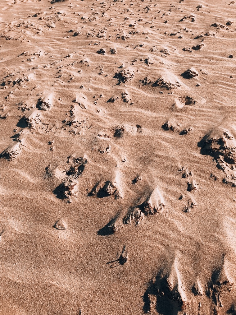 Lakey cover image