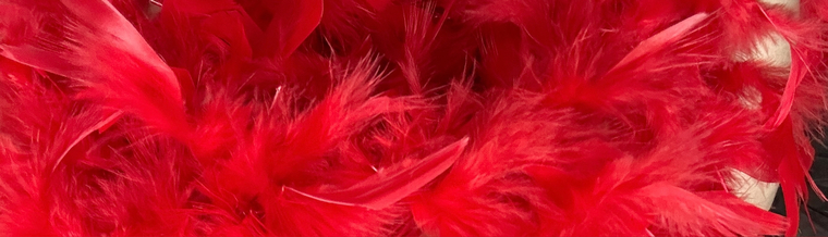 ❤️Lala❤️ cover image