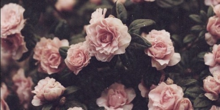 Desireexoxo banner image