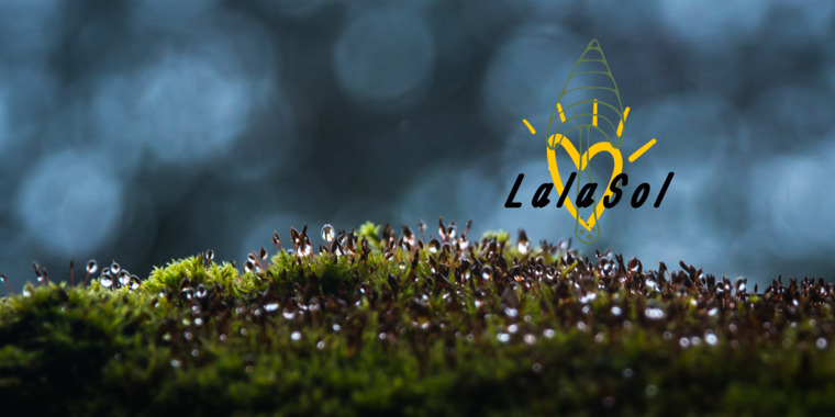 LalaSloney cover image