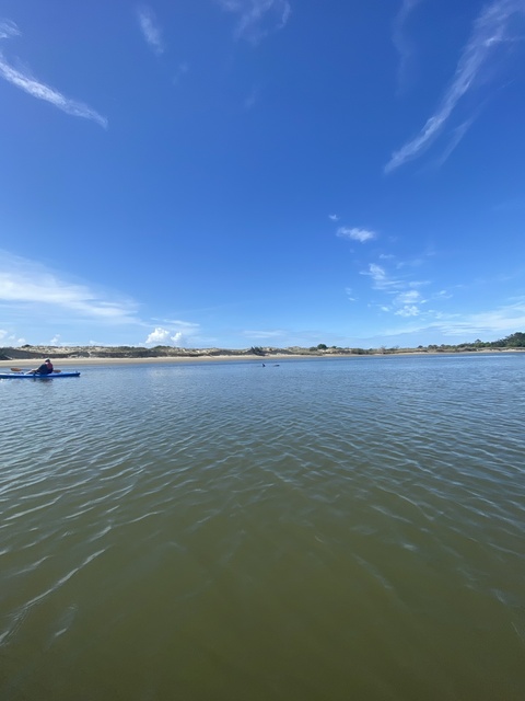 Alexis D. cover image