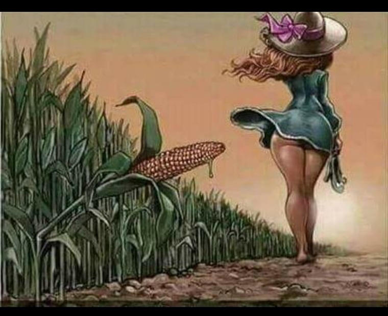 Machita sexy cover image