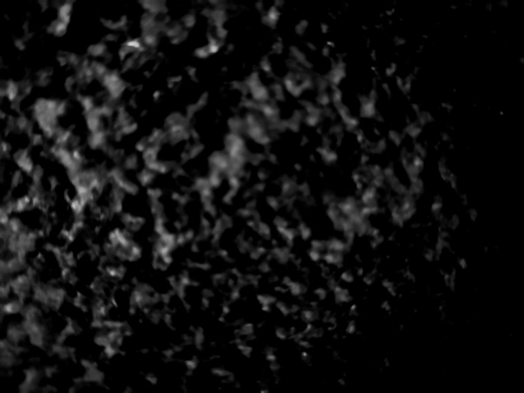 La MaeCR cover image