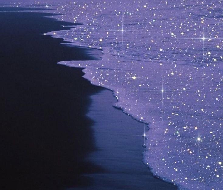 Chelle banner image