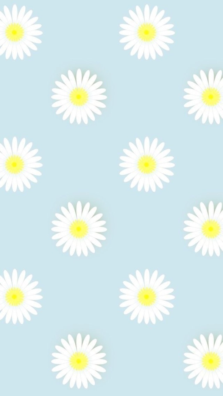 LaMuscBlanc banner image