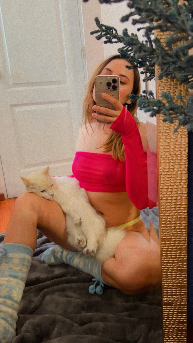 Gatita π banner image