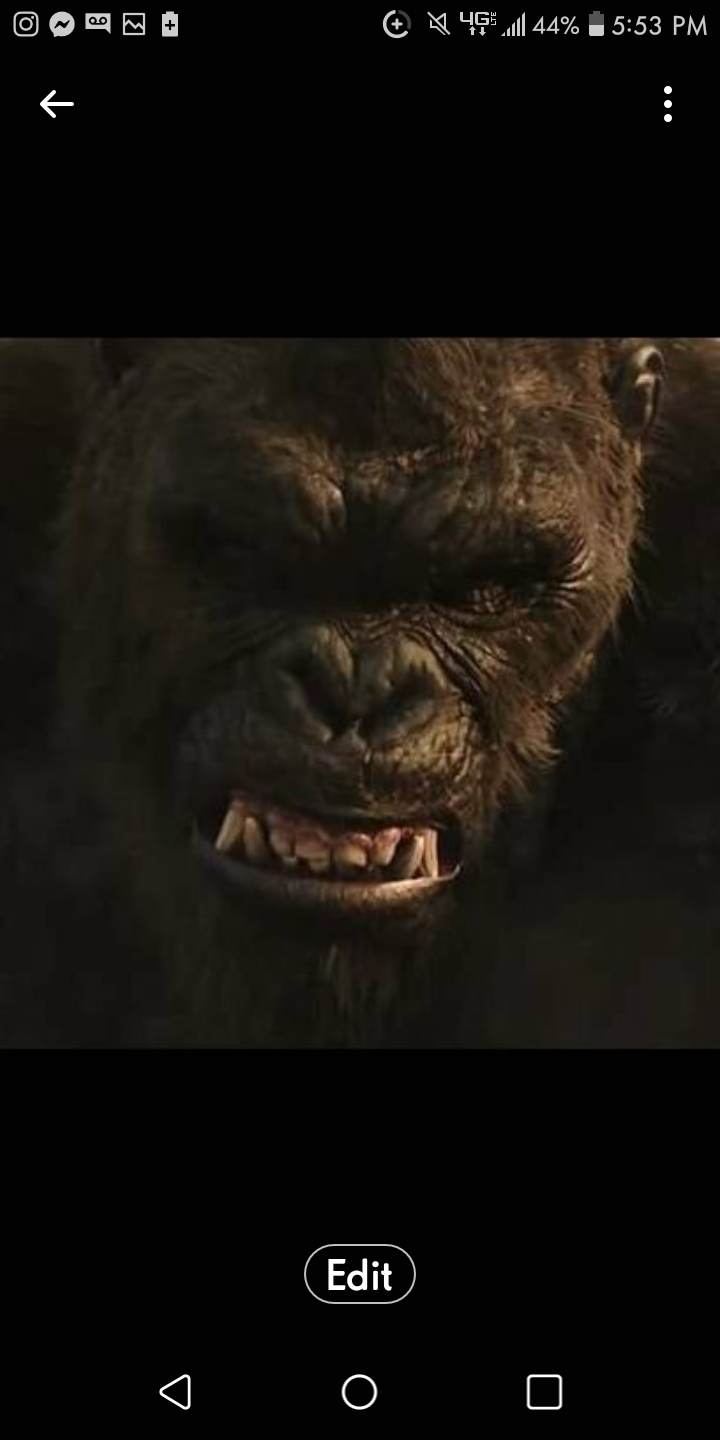 👑KingKong🦍 banner image