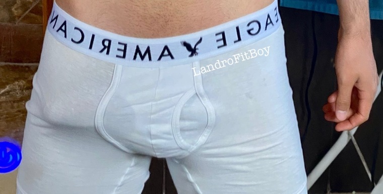 LandroFitBoy banner image
