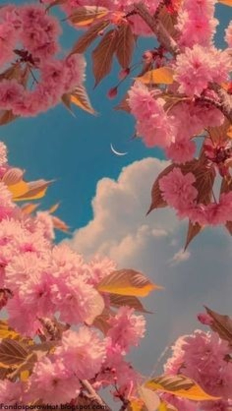 _rubia banner image