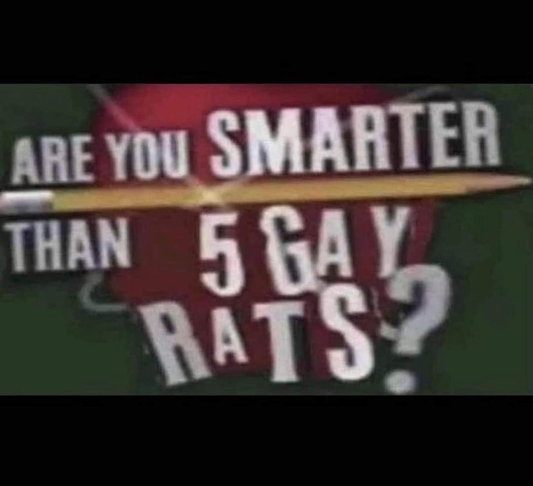 Rat banner image