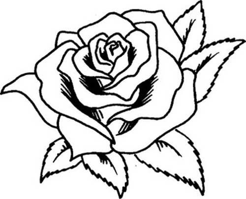 Lara Fernandes banner image