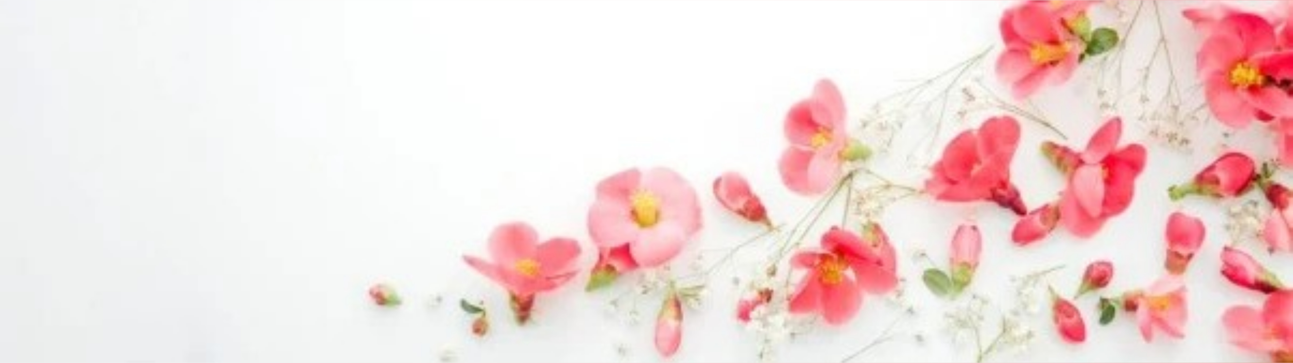 Larisa Petkova banner image