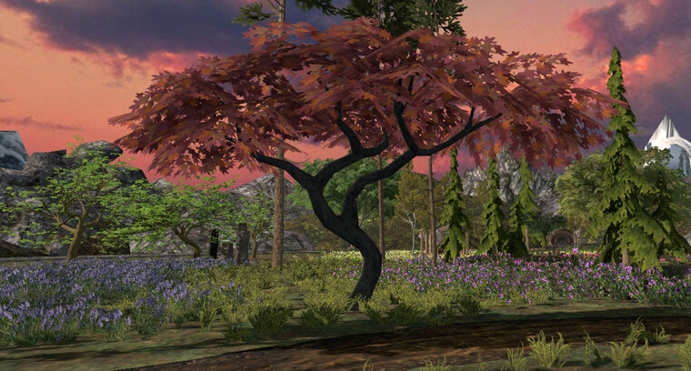 akuto banner image