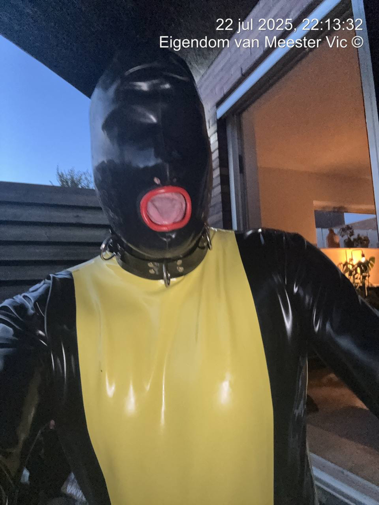 latex chastity slave cover image