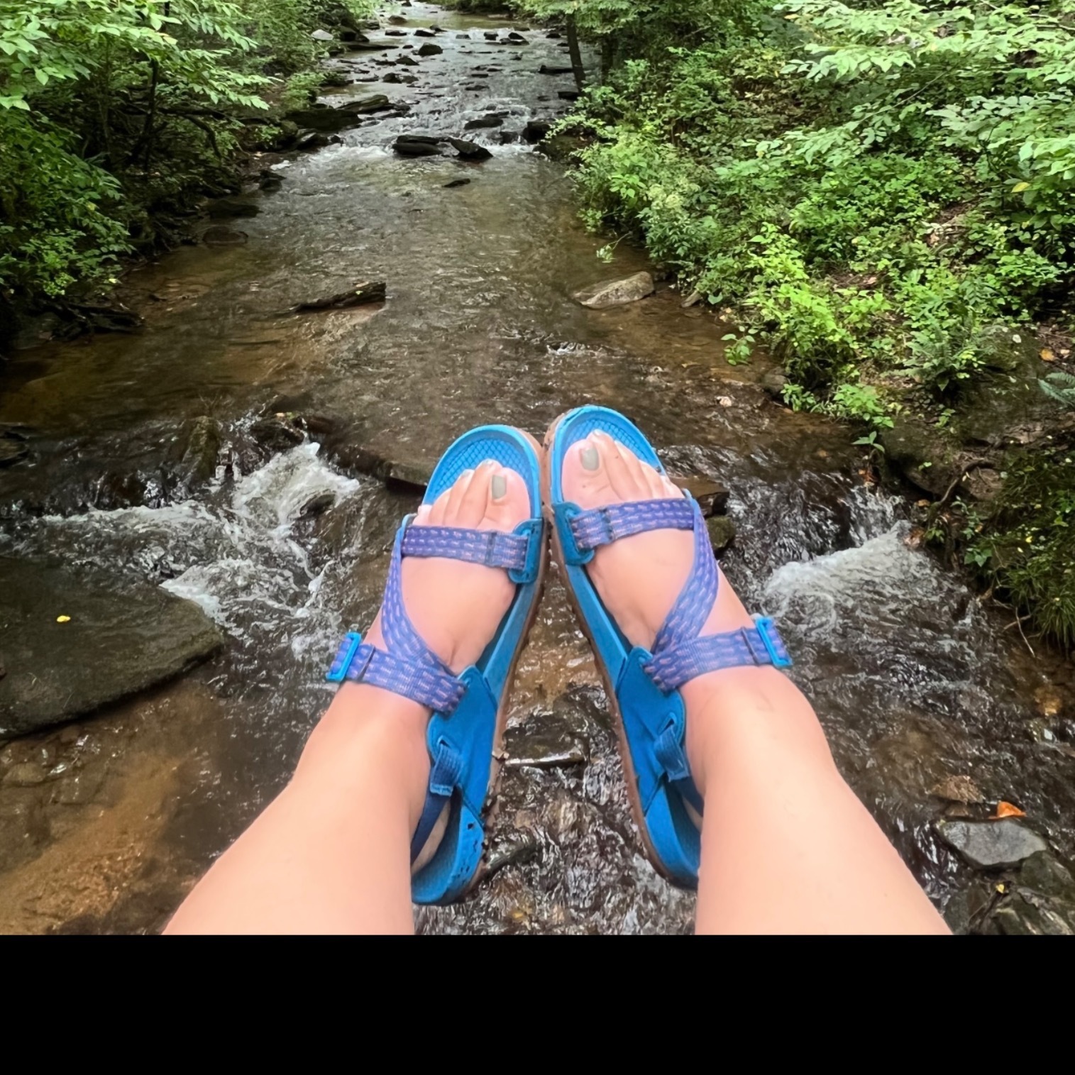 Latintoes banner image