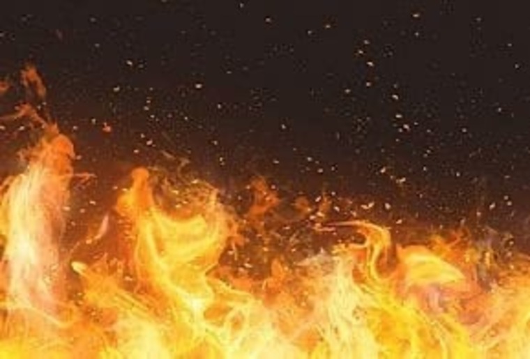 Furia Nocturna banner image