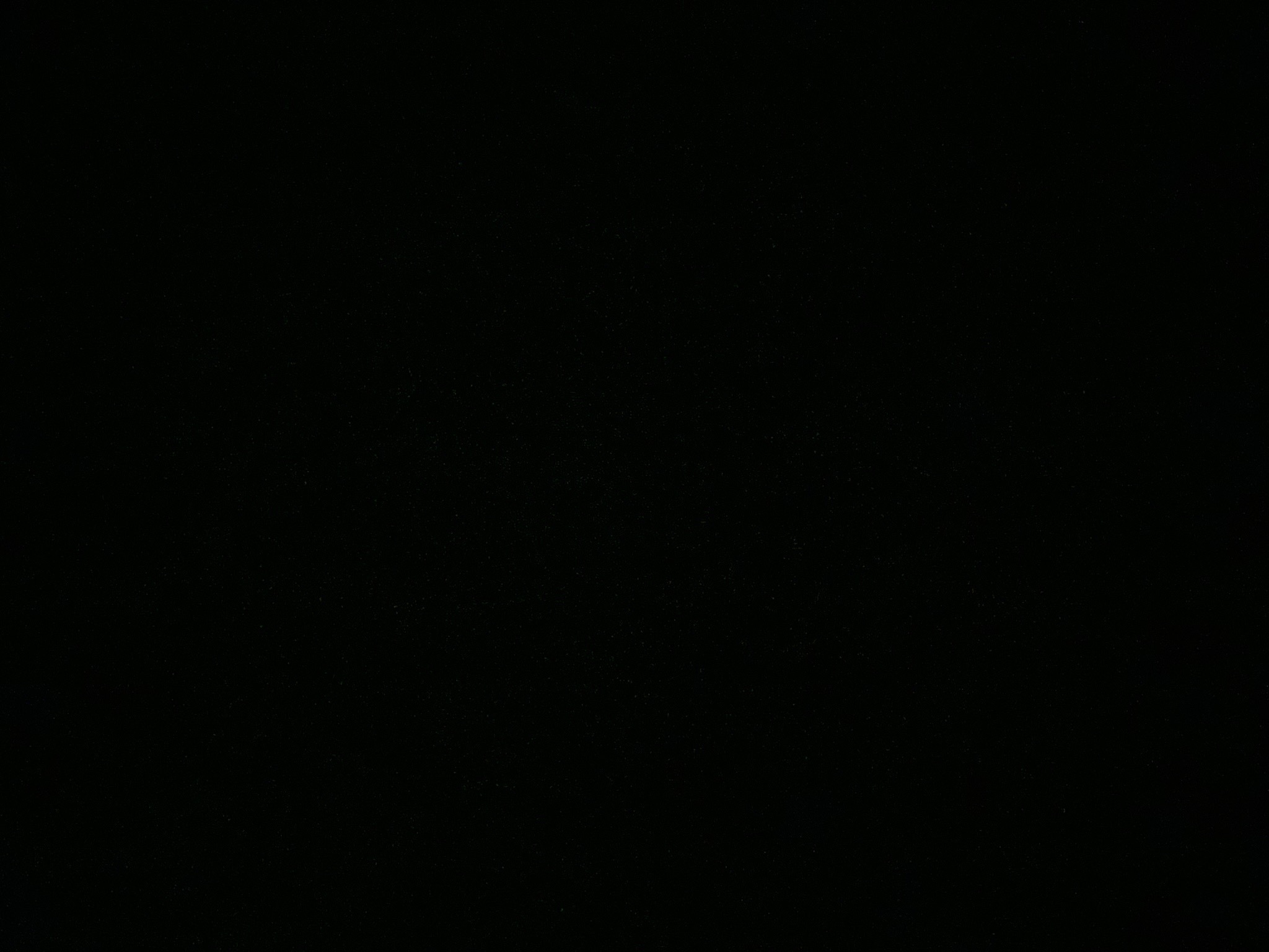 Latina banner image