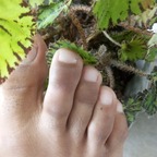 FEET 👣 avatar