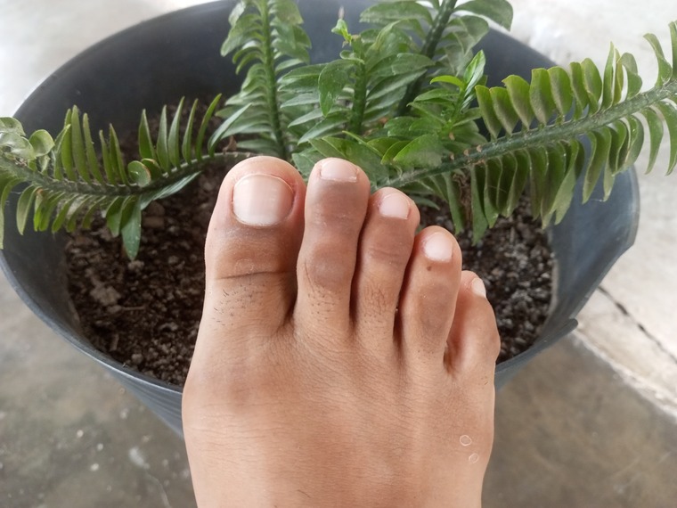 FEET 👣 cover image