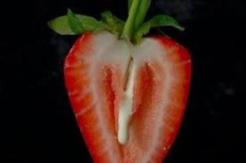 Little love cover image