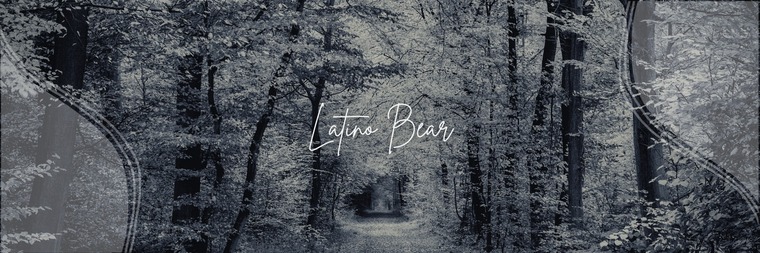 Latino Bear banner image