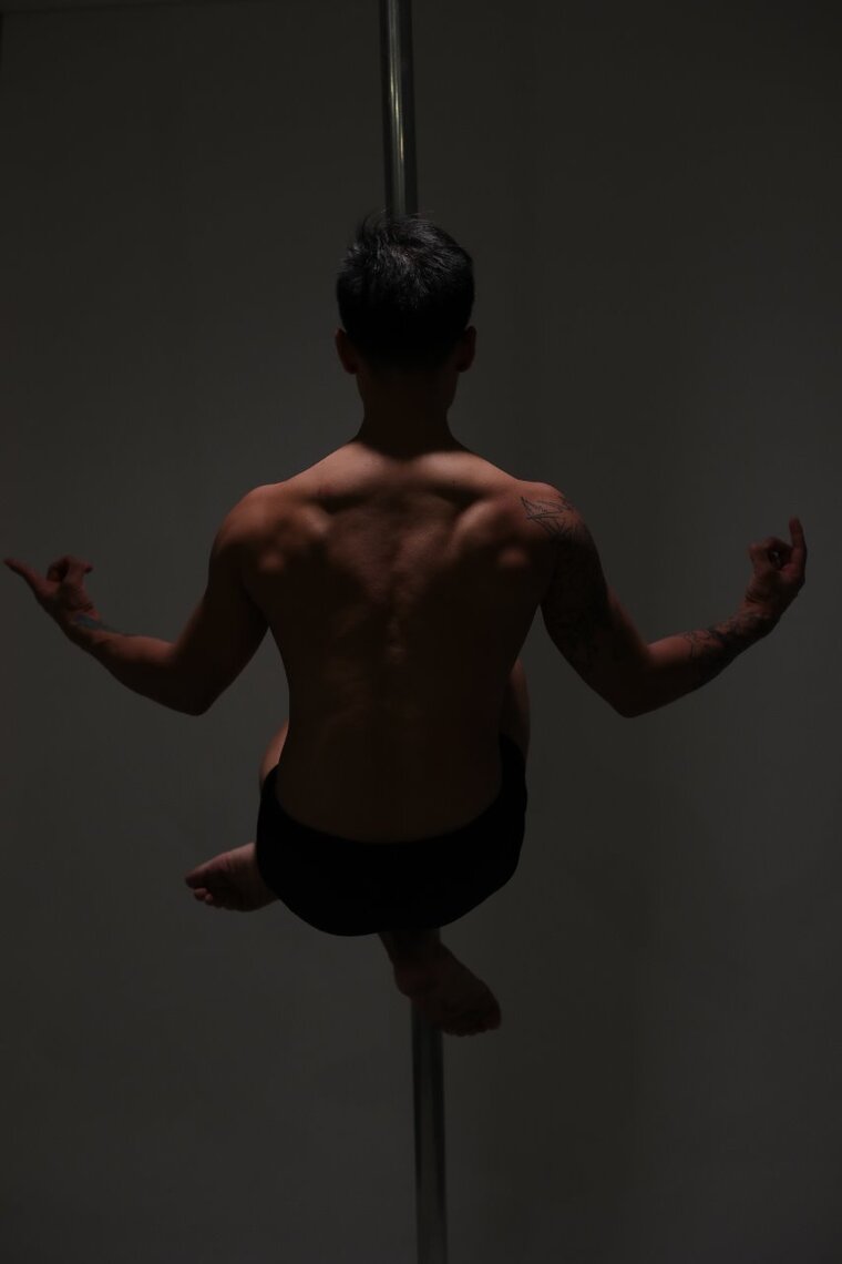 Shang banner image
