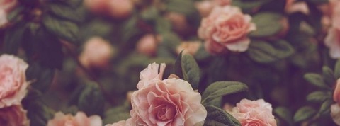 Laura Brenes cover image