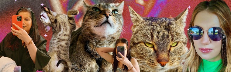 Lauren & cats banner image
