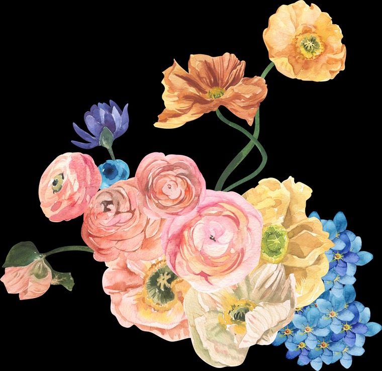 Lauren Rose cover image